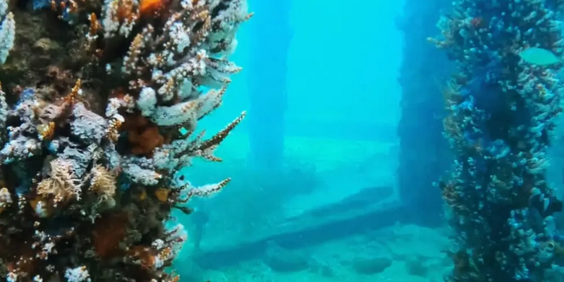 aussiebucketlist.com.au - Busselton Jetty and Underwater Sculptures Scuba Dive - 2