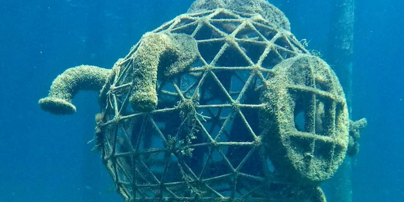 aussiebucketlist.com.au - Busselton Jetty and Underwater Sculptures Scuba Dive - 3