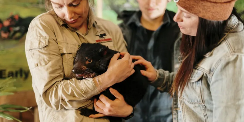 aussiebucketlist.com.au - Devils @ Cradle Sunset Experience - 1