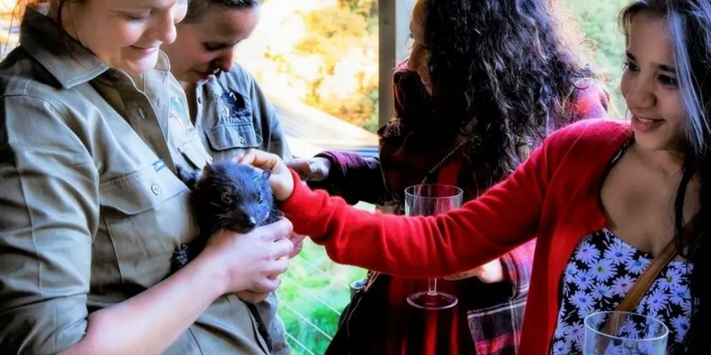 aussiebucketlist.com.au - Devils @ Cradle Sunset Experience - 2