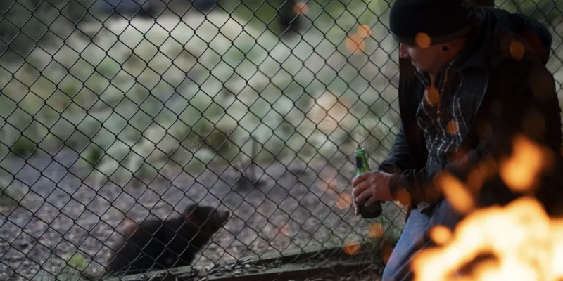 aussiebucketlist.com.au - Devils @ Cradle Sunset Experience - 6