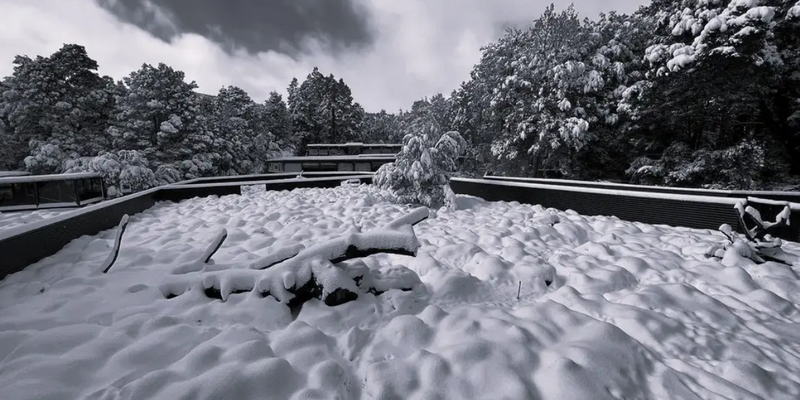 aussiebucketlist.com.au - Dessert With The Cradle Mountain Devils - 3