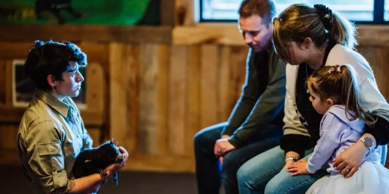 aussiebucketlist.com.au - Tasmanian Devil Joey Encounters - 2