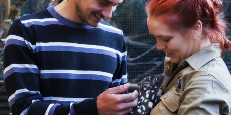 aussiebucketlist.com.au - Tasmanian Devil Joey Encounters - 3