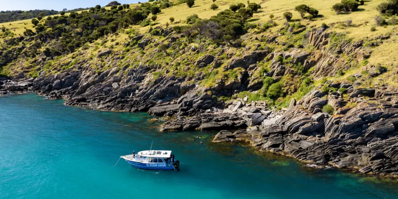 aussiebucketlist.com.au - Kangaroo Island Ocean Safari Adventure Tour from Penneshaw - 7