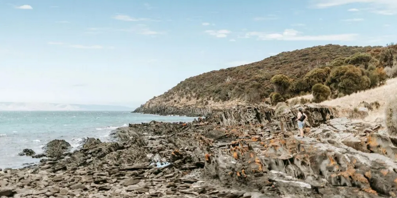 aussiebucketlist.com.au - Kangaroo Island Ocean Safari Adventure Tour from Penneshaw - 10