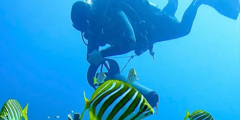 aussiebucketlist.com.au - Scuba Dive 4 Mile Reef - 3