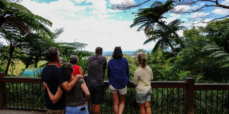 aussiebucketlist.com.au - Full Day Total Daintree Experience - 2
