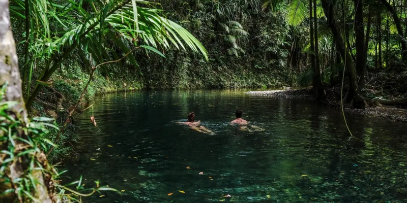 aussiebucketlist.com.au - Full Day Total Daintree Experience - 7