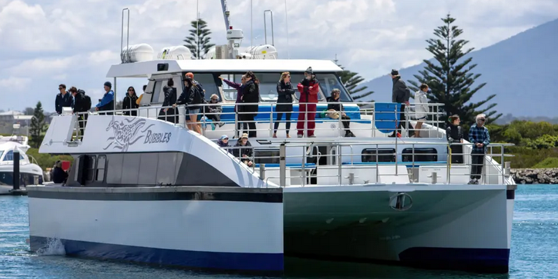 aussiebucketlist.com.au - Eden Whale Watching Cruise - 4