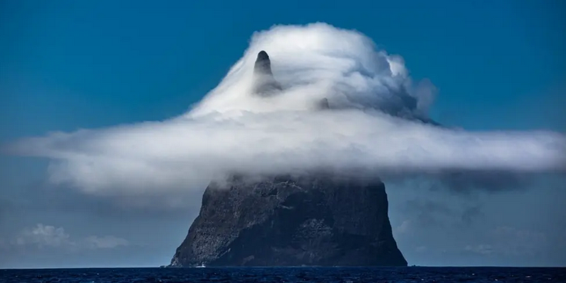 aussiebucketlist.com.au - Lord Howe Island Scenic Cruise & Snorkelling Tour - 3