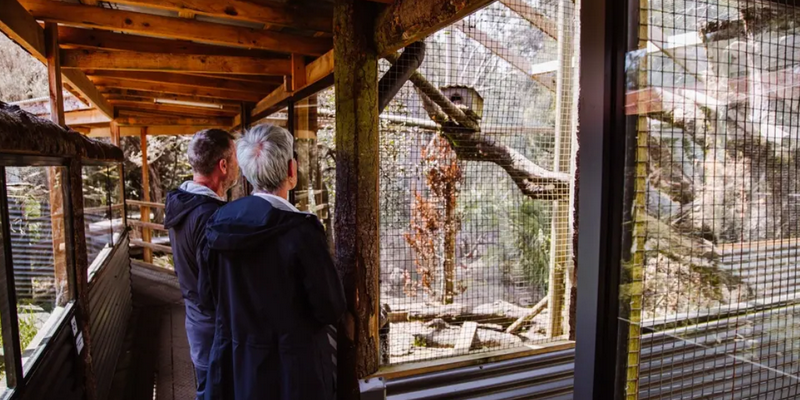 aussiebucketlist.com.au - Devils @ Cradle  - 8