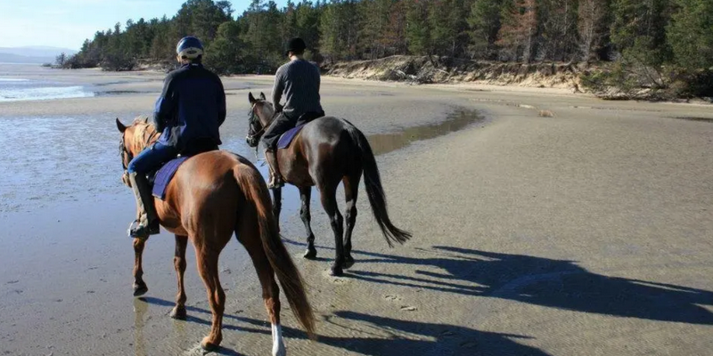 aussiebucketlist.com.au - Horseriding on the Beach - 1