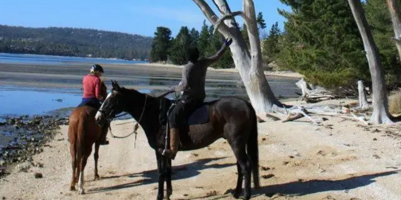 aussiebucketlist.com.au - Horseriding on the Beach - 2