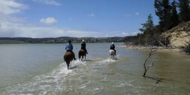 aussiebucketlist.com.au - Horseriding on the Beach - 4