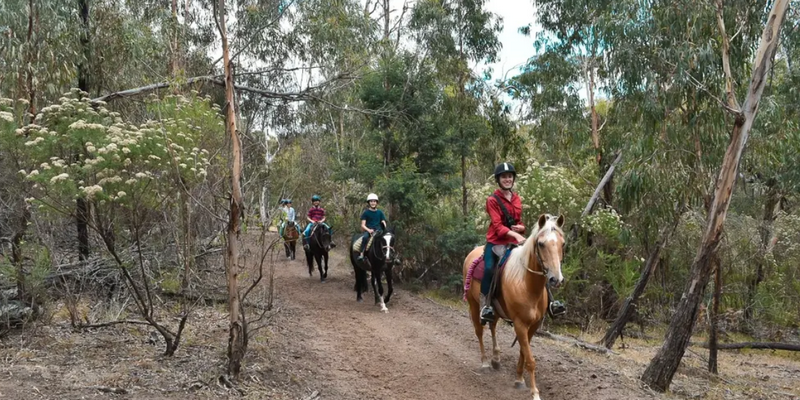 aussiebucketlist.com.au - Spring Creek Horse Trail Rides - 1