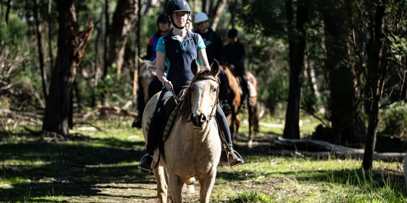 aussiebucketlist.com.au - Spring Creek Horse Trail Rides - 2