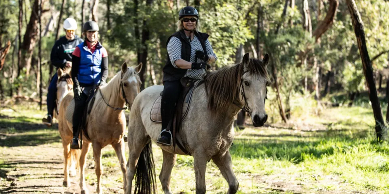 aussiebucketlist.com.au - Spring Creek Horse Trail Rides - 3