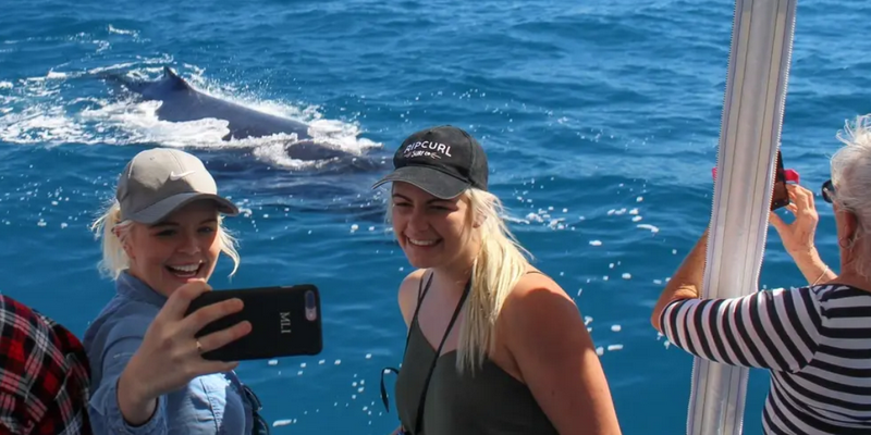 aussiebucketlist.com.au - Hervey Bay's Ultimate Whale Watch - 7