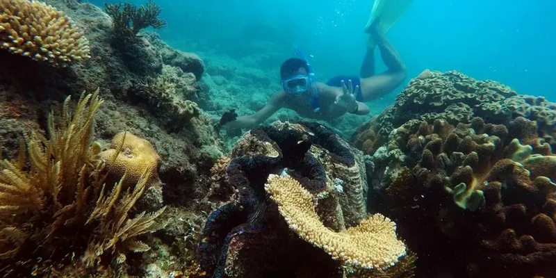 aussiebucketlist.com.au - Reef Daytripper Snorkel and Scuba Dive - 2