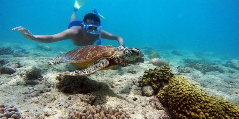 aussiebucketlist.com.au - Reef Daytripper Snorkel and Scuba Dive - 5