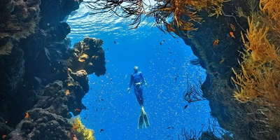 Dive the Great Barrier Reef from Port Douglas
