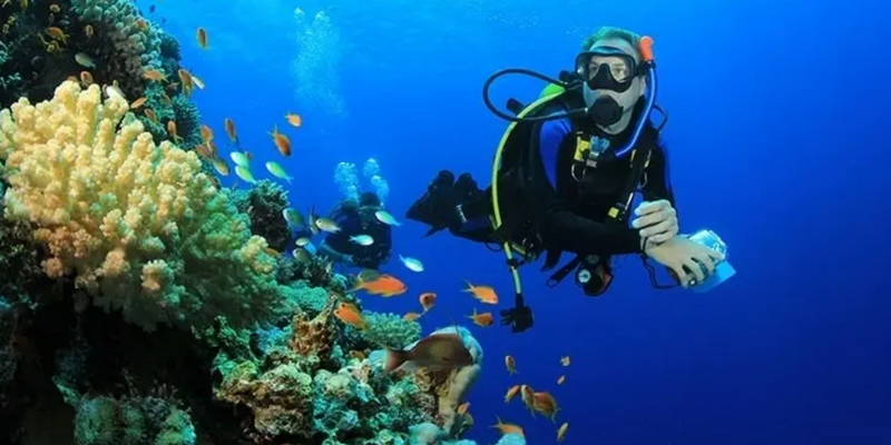 aussiebucketlist.com.au - Dive the Great Barrier Reef from Port Douglas - 2