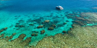 Calypso Dive and Snorkel The Great Barrier Reef from Port Douglas