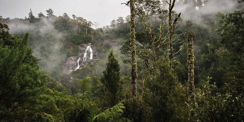 aussiebucketlist.com.au - St Columba Falls - 1