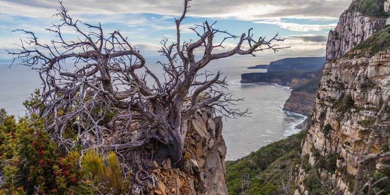 aussiebucketlist.com.au - Cape Raoul - 1