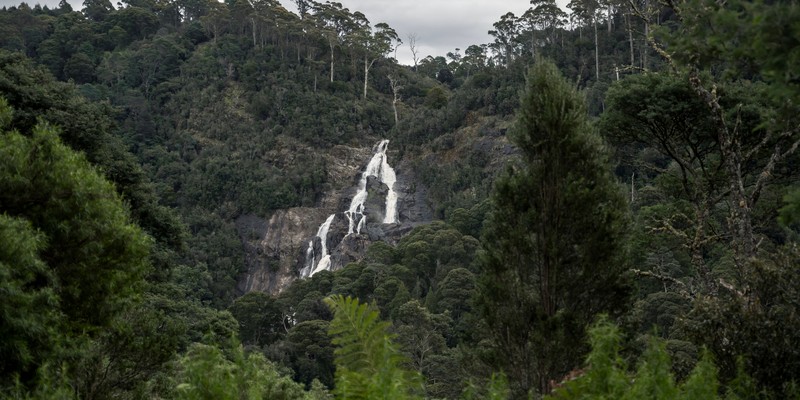 aussiebucketlist.com.au - St Columba Falls - 2