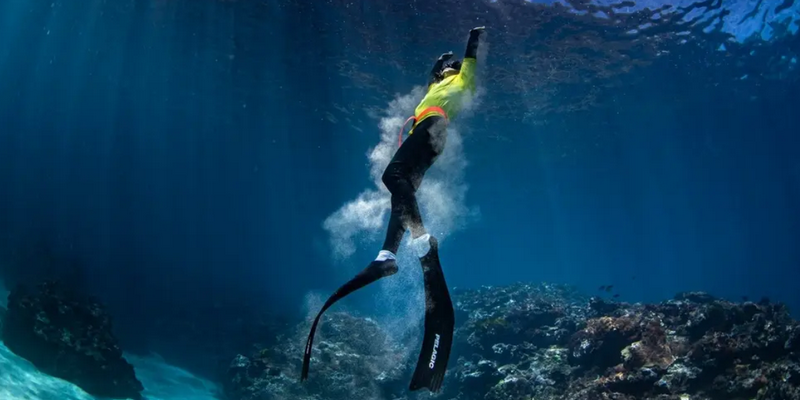 aussiebucketlist.com.au - Beyond The Reef Guided Snorkelling Expedition - 1