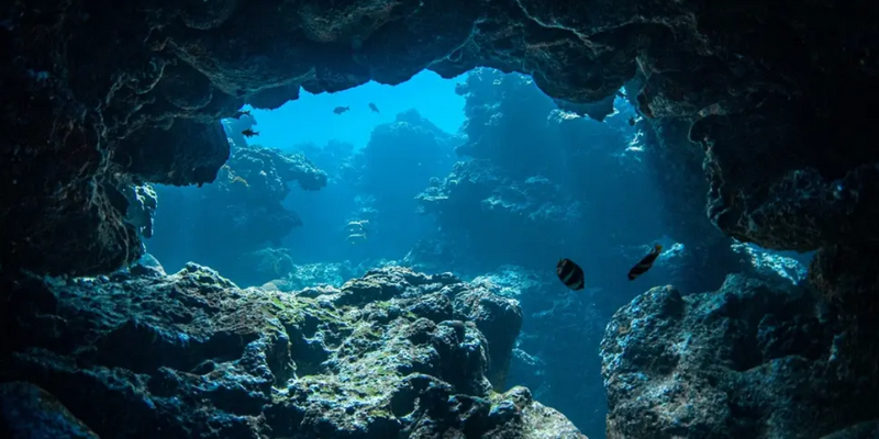 aussiebucketlist.com.au - Beyond The Reef Guided Snorkelling Expedition - 7