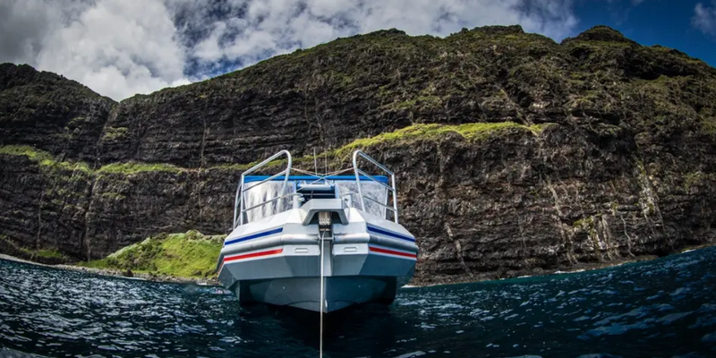 aussiebucketlist.com.au - Beyond The Reef Guided Snorkelling Expedition - 8