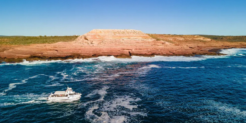 aussiebucketlist.com.au - Kalbarri Whale Watching Tour - 6