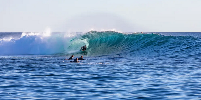 aussiebucketlist.com.au - Kalbarri Whale Watching Tour - 7