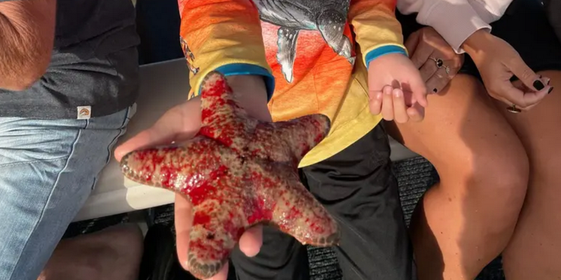 aussiebucketlist.com.au - Morning Lobster Pot Pull Tour - 4