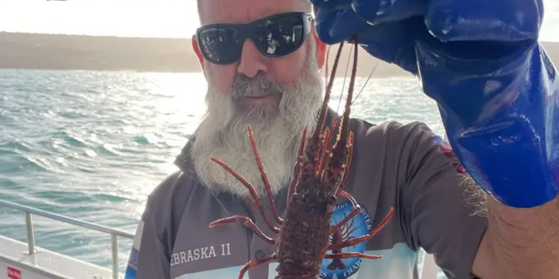 aussiebucketlist.com.au - Morning Lobster Pot Pull Tour - 5