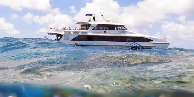 aussiebucketlist.com.au - SilverSwift Dive and Snorkel Day Trip - 2