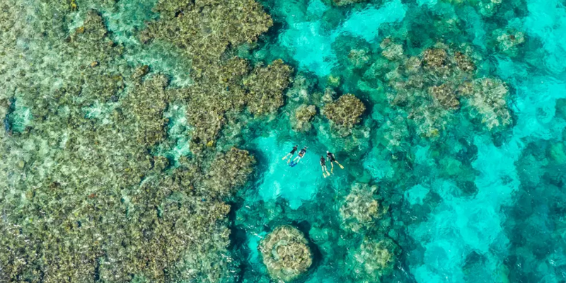 aussiebucketlist.com.au - SilverSwift Dive and Snorkel Day Trip - 5