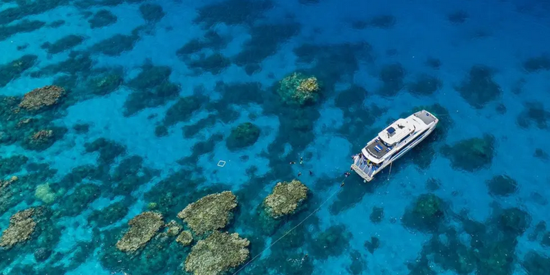 aussiebucketlist.com.au - SilverSwift Dive and Snorkel Day Trip - 6