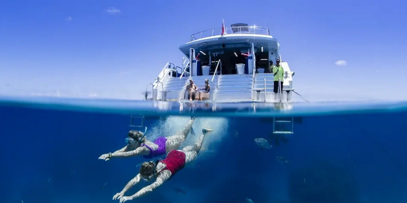 aussiebucketlist.com.au - SilverSwift Dive and Snorkel Day Trip - 7