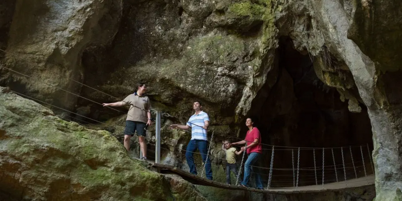 aussiebucketlist.com.au - Cathedral Cave Tour - 2