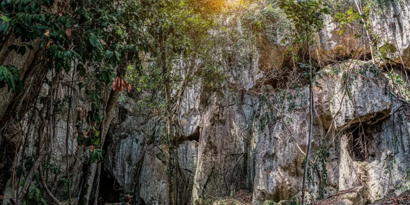 aussiebucketlist.com.au - Cathedral Cave Tour - 3