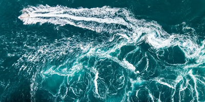 Giant Tides Sea Safari