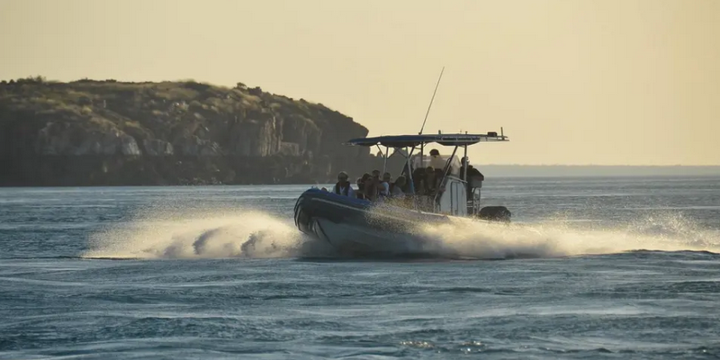 aussiebucketlist.com.au - Giant Tides Sea Safari - 2