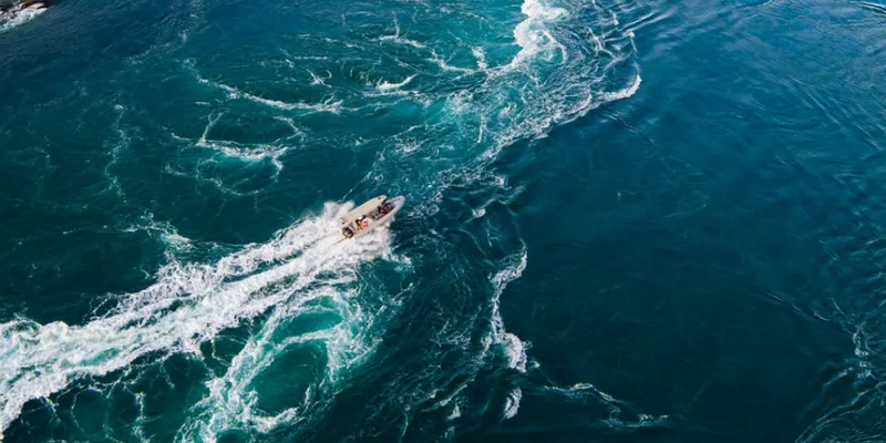 aussiebucketlist.com.au - Giant Tides Sea Safari - 3