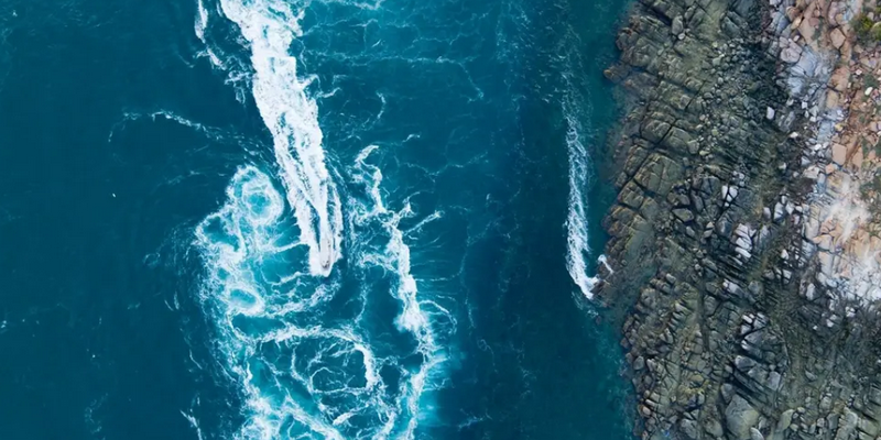 aussiebucketlist.com.au - Giant Tides Sea Safari - 4