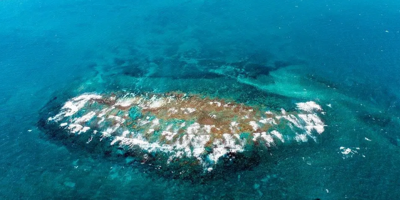 aussiebucketlist.com.au - Quobba Blowholes Scenic Helicopter Flight - 6