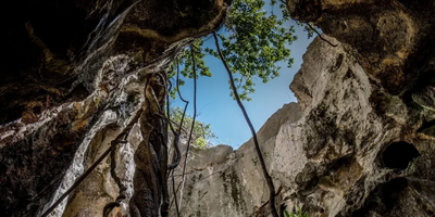 Capricorn Caves Explorer Tour